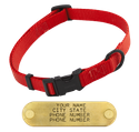 RED LONG 3/4 in. QUICK DAWG Nylon Quick Release Collar