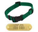 KELLY GREEN SHORT 3/4 in. QUICK DAWG Nylon Quick Release Collar