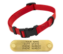 RED SHORT 3/4 in. QUICK DAWG Nylon Quick Release Collar