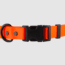 Quick Dawg Quick Release Collar Front Buckle Detail