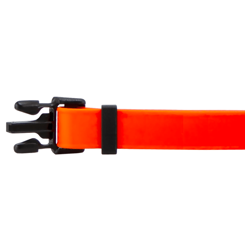 Quick Dawg Quick Release Collar Inside Buckle Detail