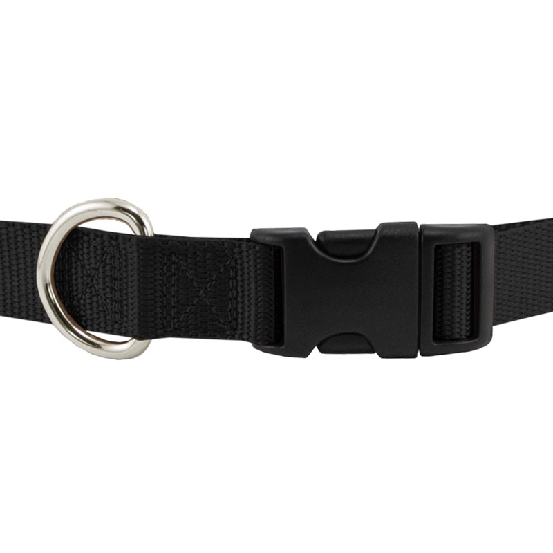 Quick Release Nylon Dog Collar Front Buckle Detail