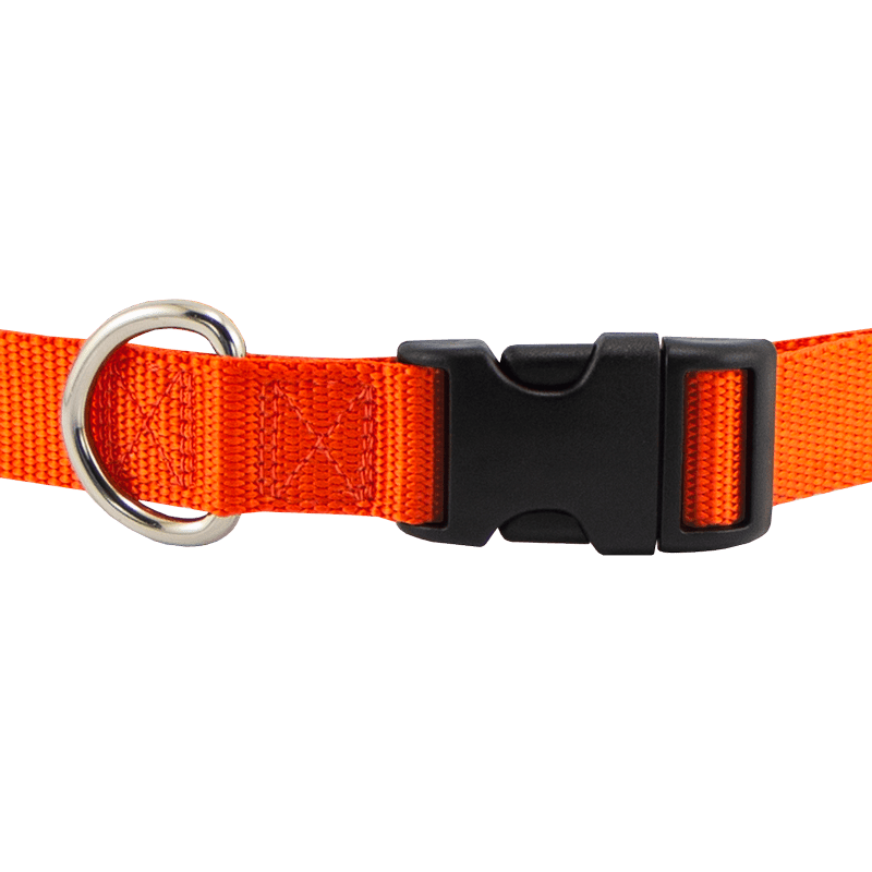 NEON ORANGE 1 in. Custom Embroidered Kwik Klip Nylon Dog Collar. 23.99.