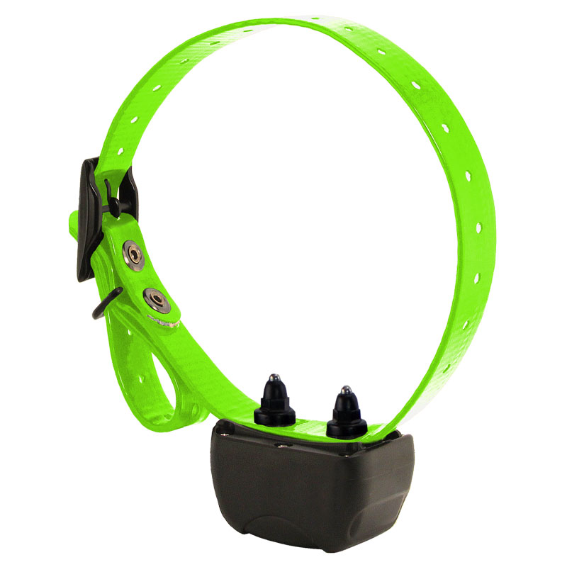 RAPT 1400 Collar with Green Strap