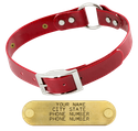 RED 1 in. SunGlo O-Ring Collar