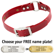  shop RED 1 in. SunGlo O-Ring Collar