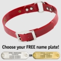 RED 1 in. SunGlo O-Ring Collar