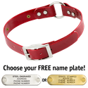 RED 1 in. SunGlo O-Ring Collar