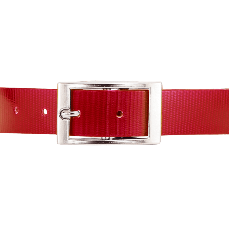 RED 1 in. SunGlo Center Ring Collar Buckle Front