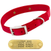 RED 1 in. Double-Ply Standard Nylon Dog Collar