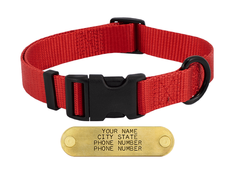 Ultra Violet Quick Release Collar