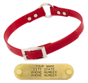 RED 3/4 in. O-Ring SunGlo Collar