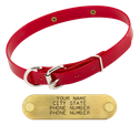 RED 3/4 in. D-End SunGlo Collar