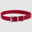 RED 3/4 in. SportDOG Collar Strap