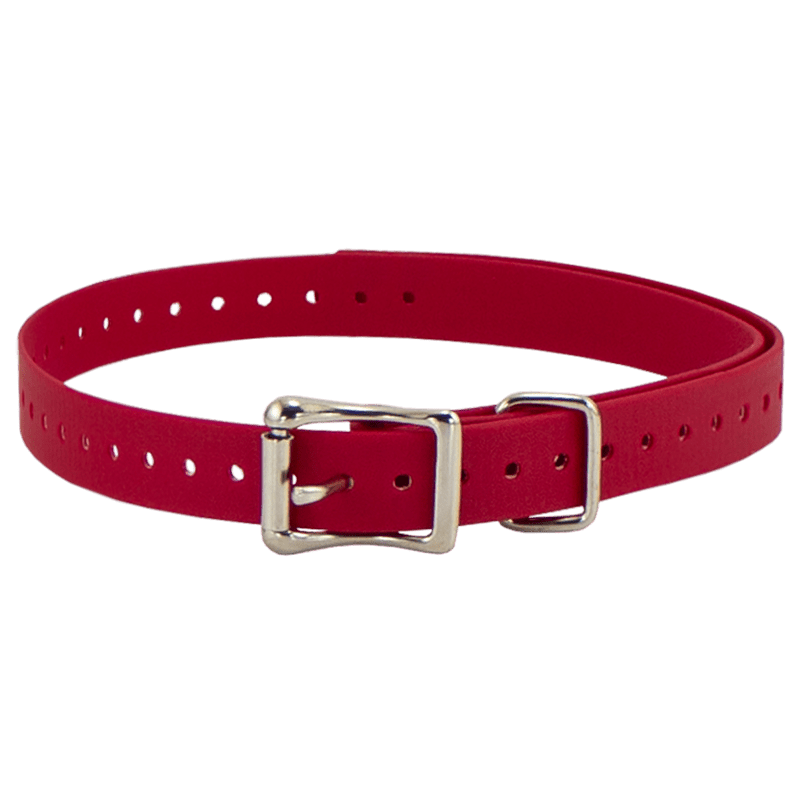 RED 3/4 in. SportDOG Collar Strap