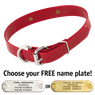 RED 1 in. SunGlo D-End Collar