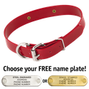 RED 1 in. SunGlo D-End Collar