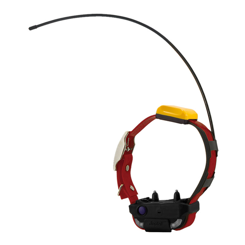 Red Dogtra Pathfinder 2 Collar