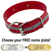  shop RED 1-1/2 in. Beaded Reflective D-End Dog Collar