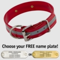 RED 1-1/2 in. Beaded Reflective D-End Dog Collar