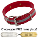 RED 1-1/2 in. Beaded Reflective D-End Dog Collar