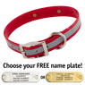 RED 1 in. SunGlo Reflective Standard Collar