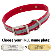  shop RED 1 in. SunGlo Reflective Standard Collar