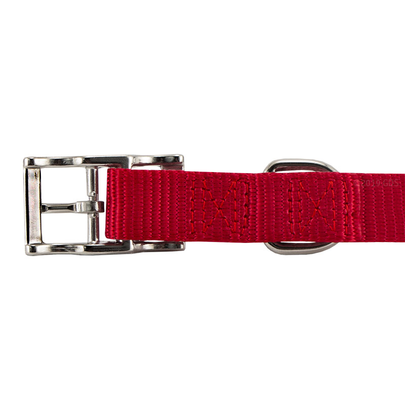 Red Nylon Dog Collar Buckle Inside Detail