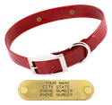 RED 1 in. SunGlo Standard Collar