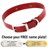RED 1 in. SunGlo Standard Collar