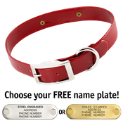  shop RED 1 in. SunGlo Standard Collar