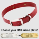 RED 1 in. SunGlo Standard Collar