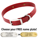 RED 1 in. SunGlo Standard Collar