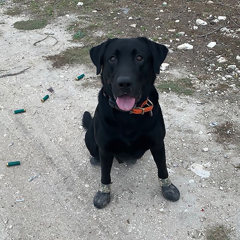 Lewis Vented Rubber Dog Boots Individual Boot. 13.49.