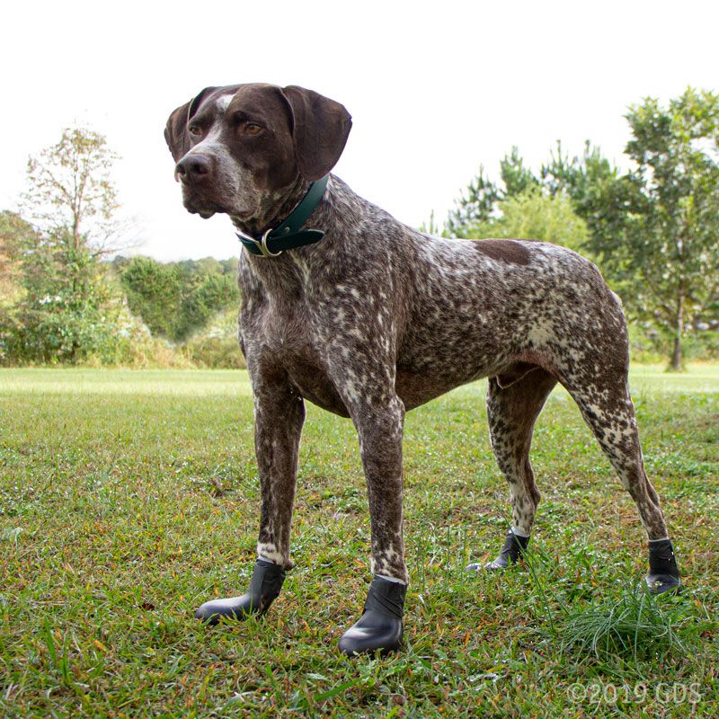 Lewis Vented Rubber Dog Boots Individual Boot. 13.49.