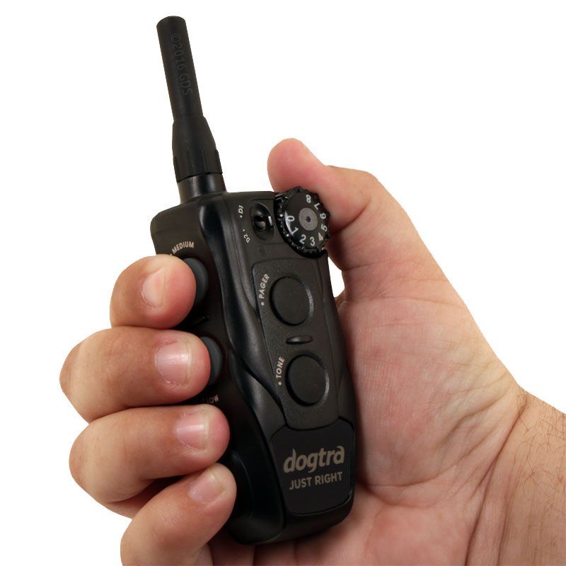 Dogtra JUST RIGHT + FREE BIG DAWG Collar Bundle. 199.99. FREE Shipping