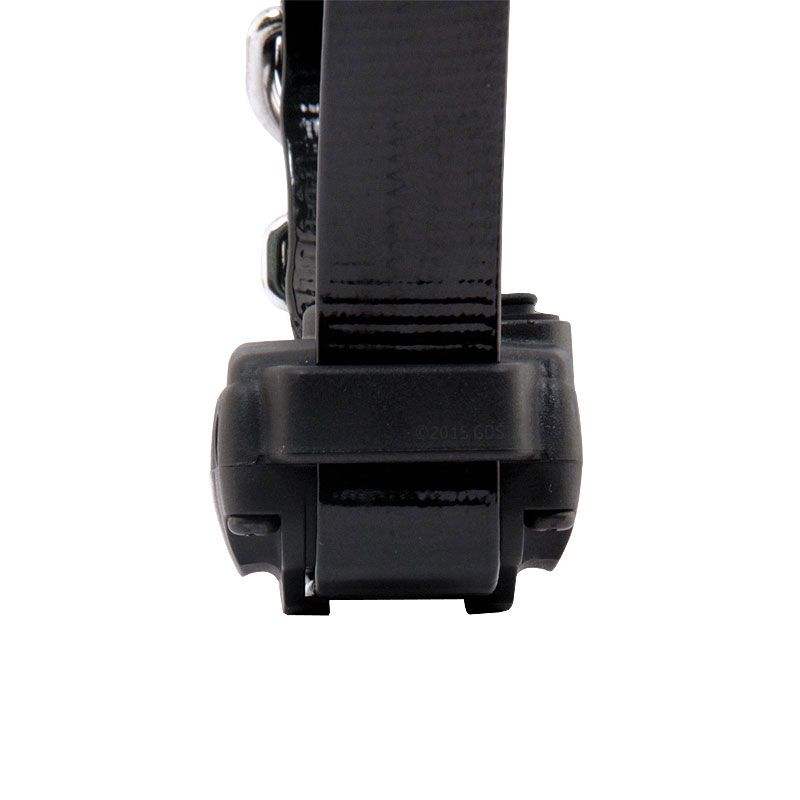 MOPIX Dogtra JUST RIGHT Receiver Side Detail.