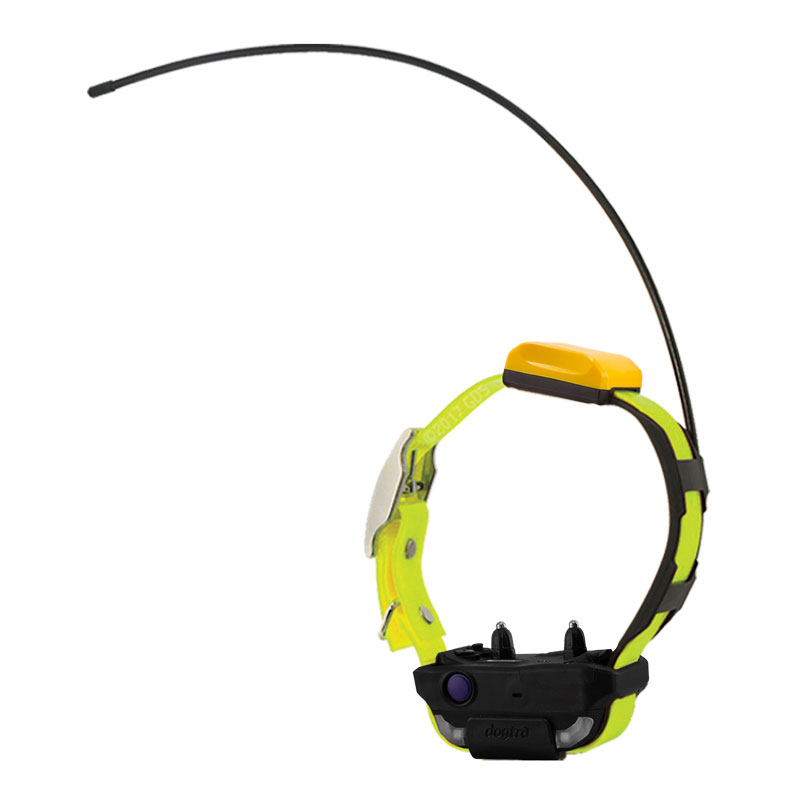 Yellow Dogtra Pathfinder 2 Collar