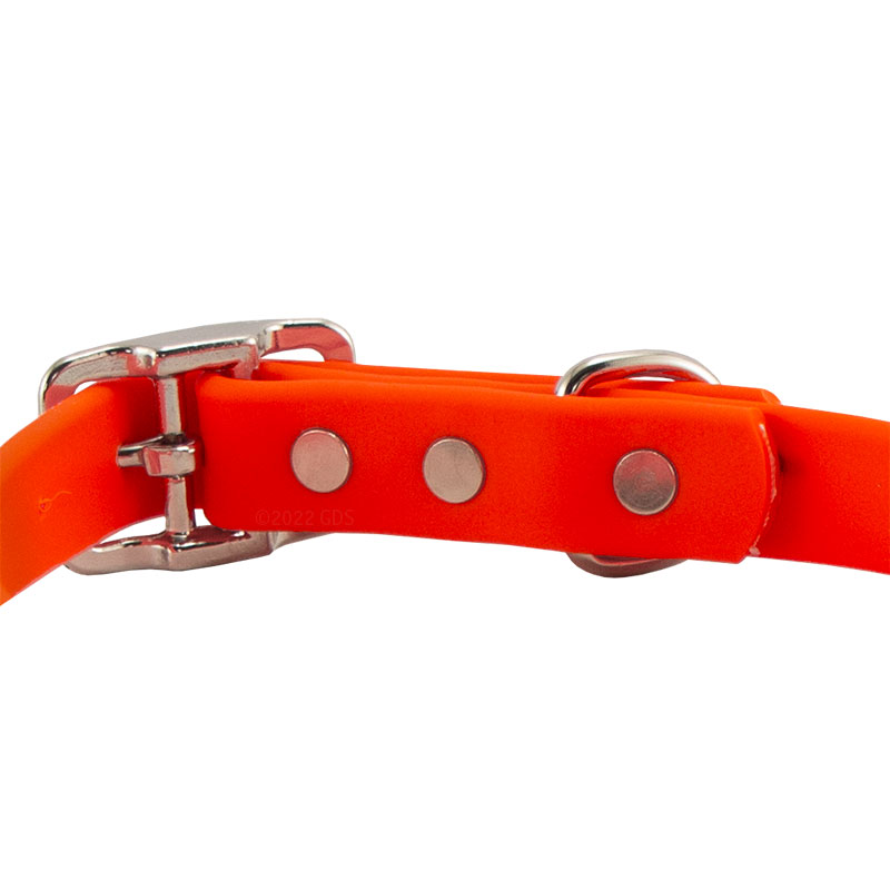Super Heavy Biothane Standard Collar Buckle Back