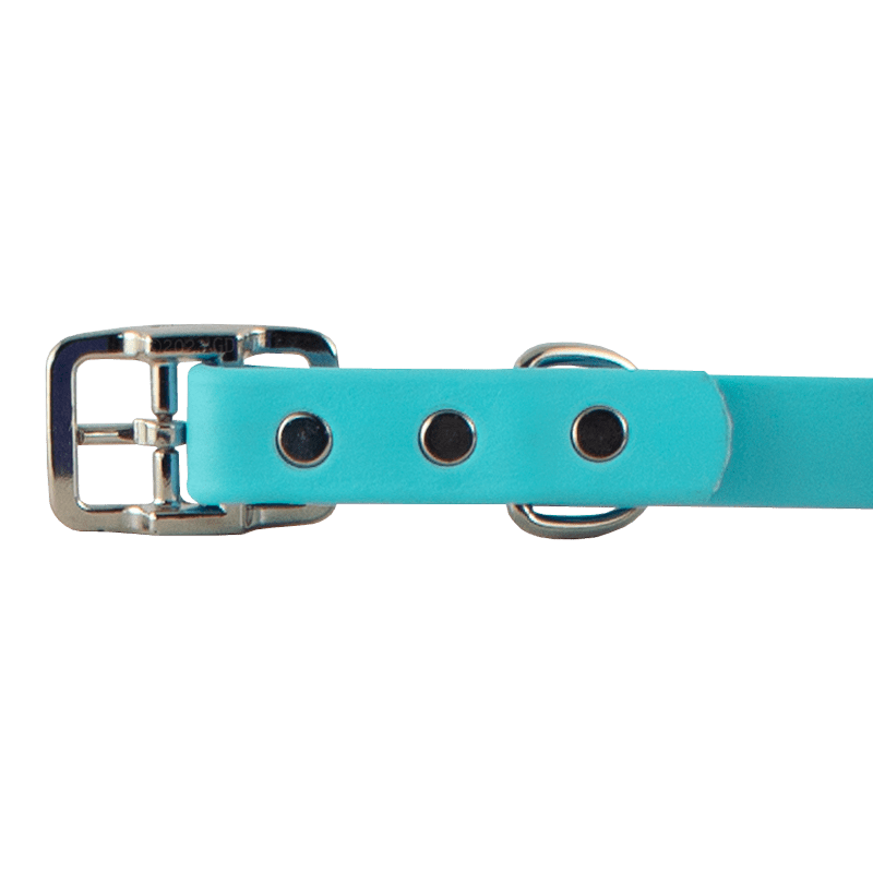 mopix-super-heavy-biothane-standard-collar-buckle-detail
