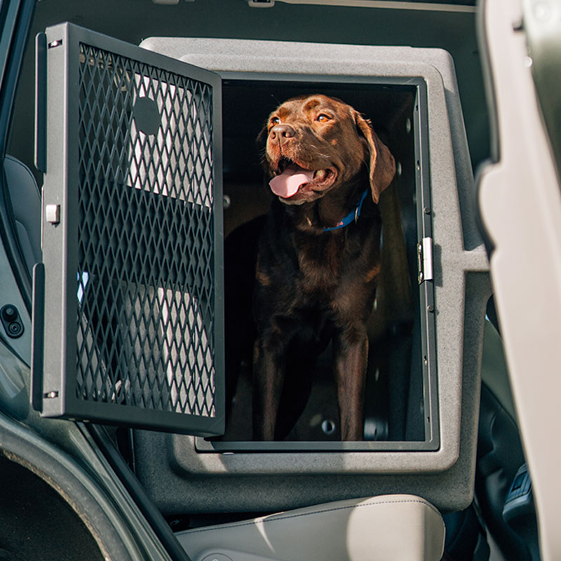 Hero Kennel in Vehicle