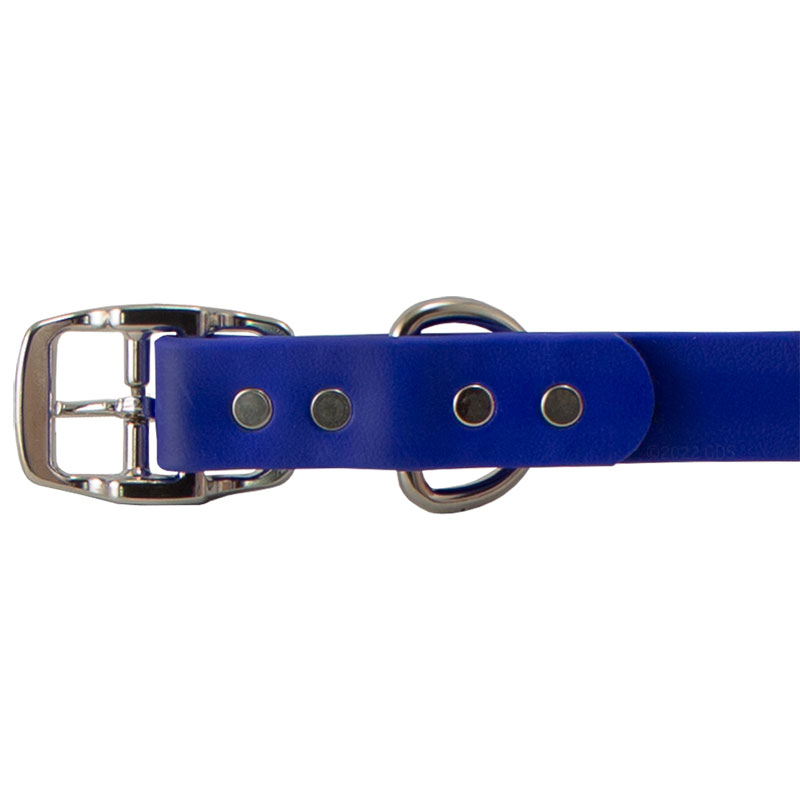 Super Heavy Biothane Standard Collar Buckle Detail