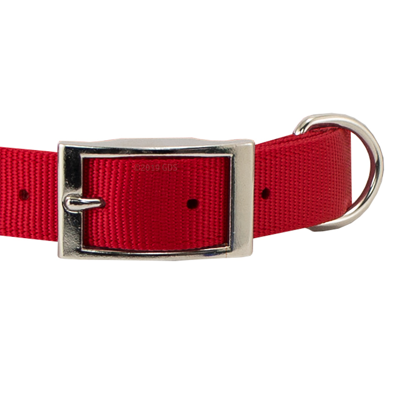 Double Ply Nylon Collar Front of Buckle Detail 