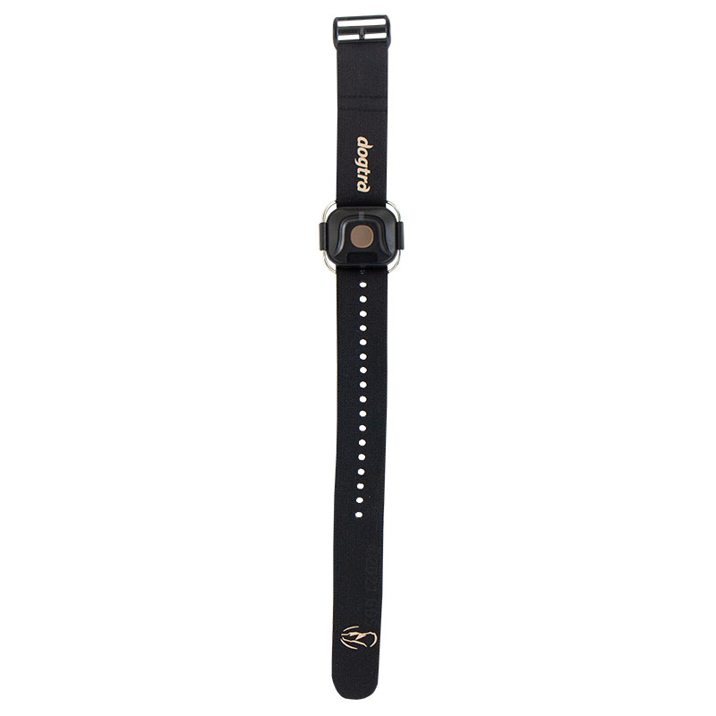 Dogtra 1902S Plus Remote Detail