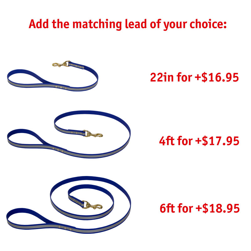 Matching Leash Option
