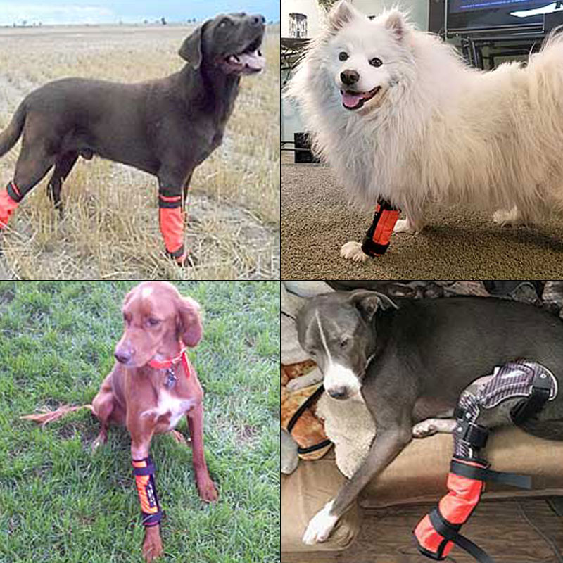 Sylmar Leg Protection Tube in Use