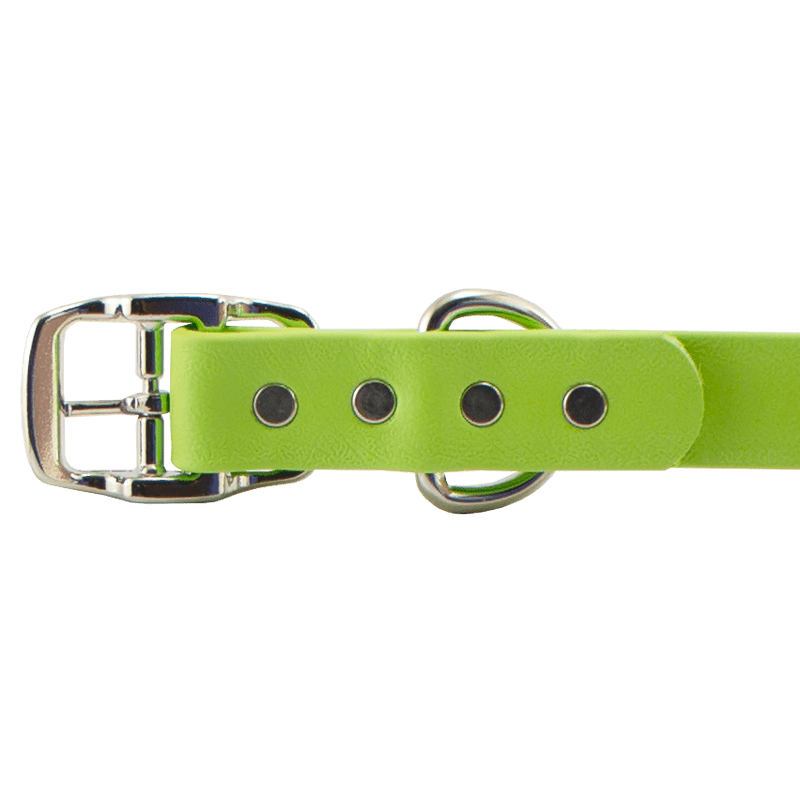 Super Heavy Biothane Standard Collar Buckle Detail