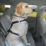 Tru-Fit Smart Harness w/ Seatbelt Tether in Use
