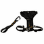 Tru-Fit Smart Harness w/ Seatbelt Tether