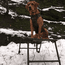 Customer Photo: Mike Nadolski 's dog Cresthills Honker in The Wind Goose with the Final Stand